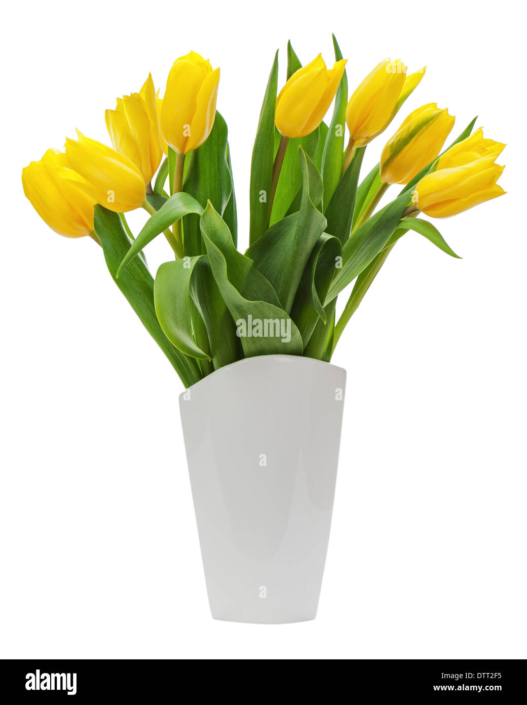 Flower bouquet from yellow tulips in vase isolated on white background ...