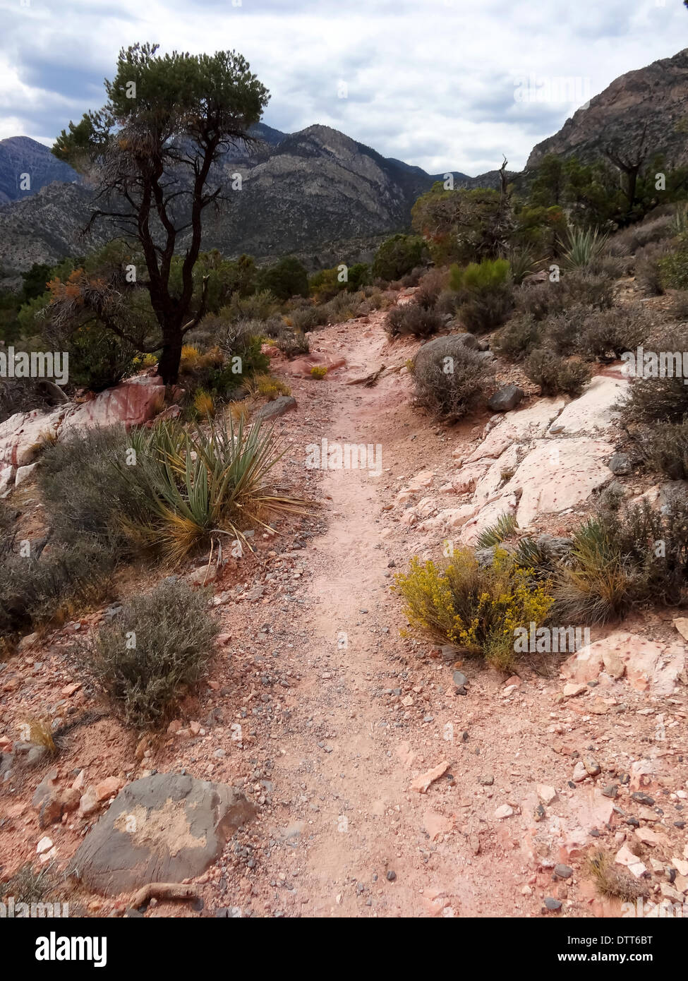 Hike through Red Rock Canyon Stock Photo Alamy