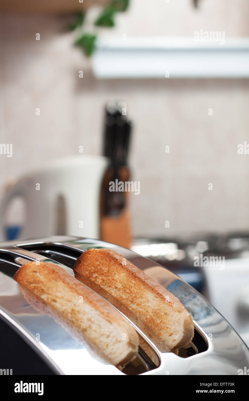 Multi purpose bread toaster, it has function for boiling and frying egg  also Stock Photo - Alamy