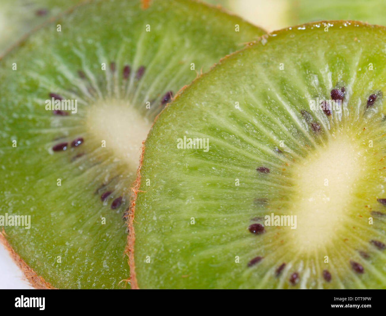 Close up tropical hi-res stock photography and images - Alamy