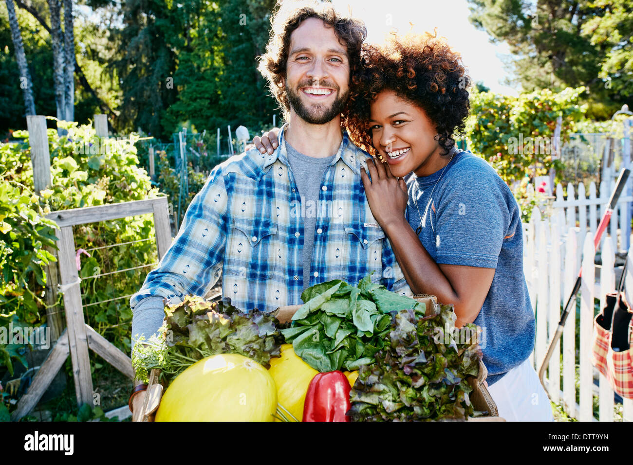 Couple harvesting vegetables in garden Stock Photo - Alamy