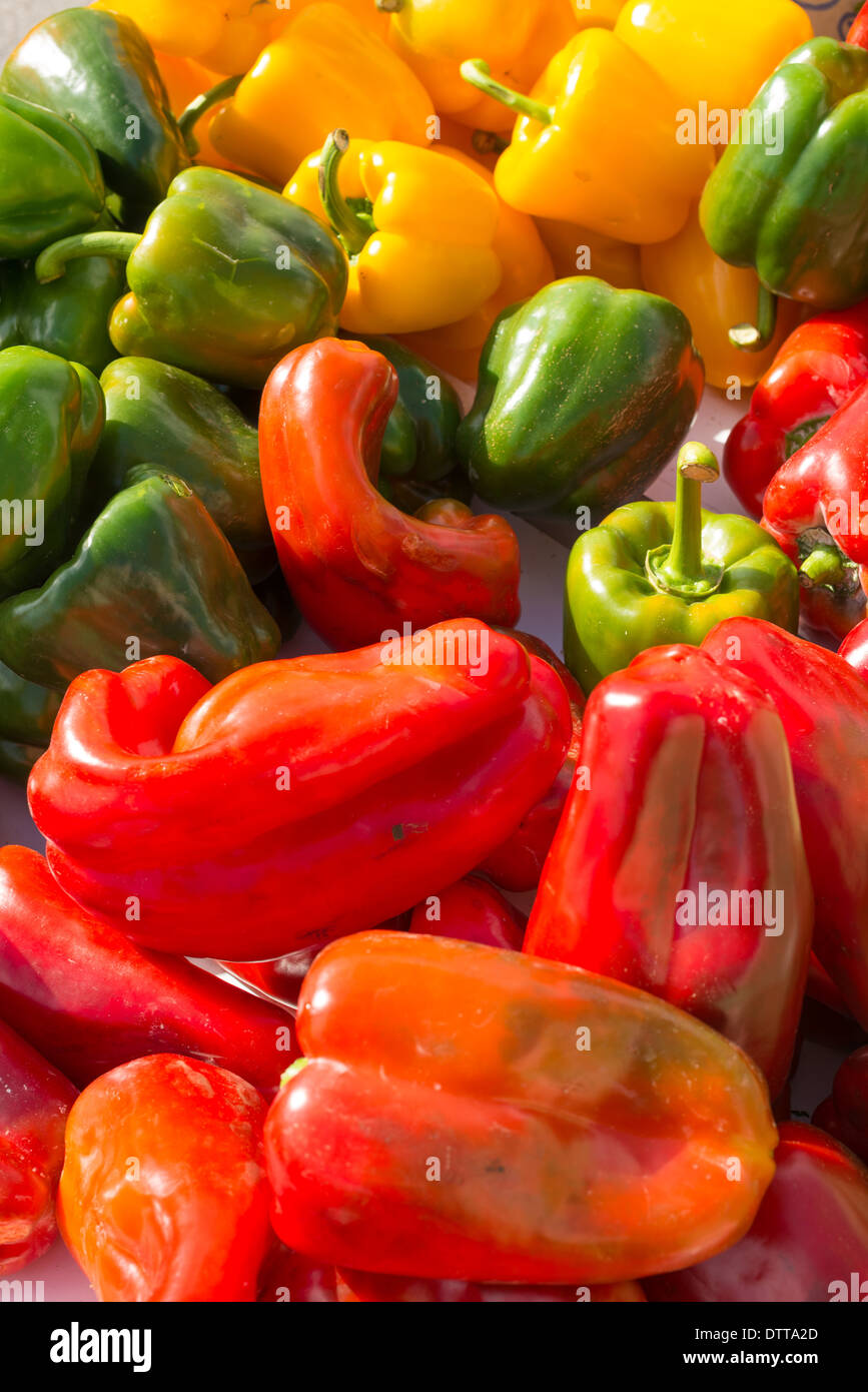 assorted peppers on a street market stall Stock Photo - Alamy