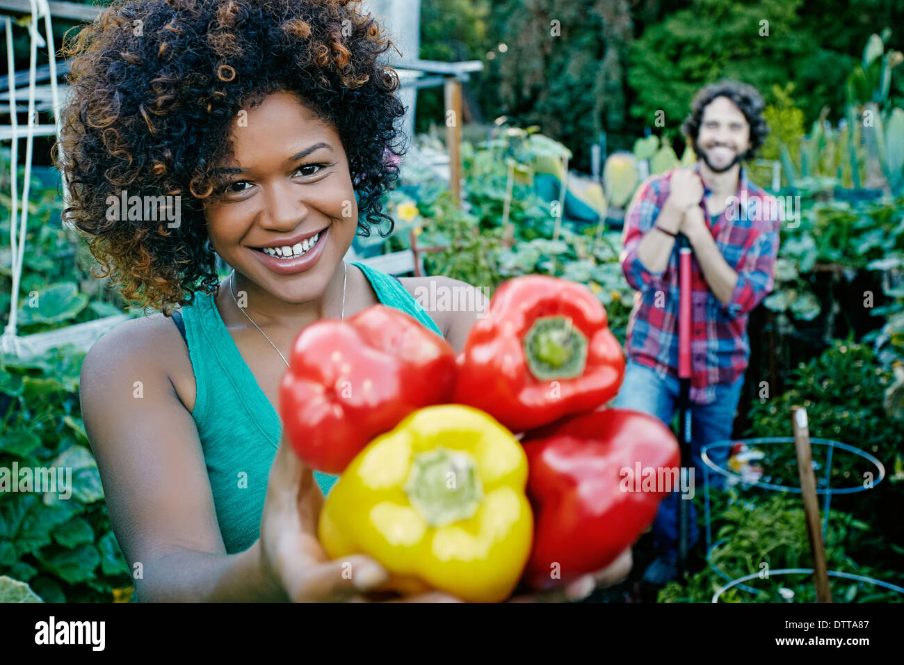 Mixed color bell peppers hi res stock photography and images Alamy Mixed color bell peppers hi res stock photography and images Alamy