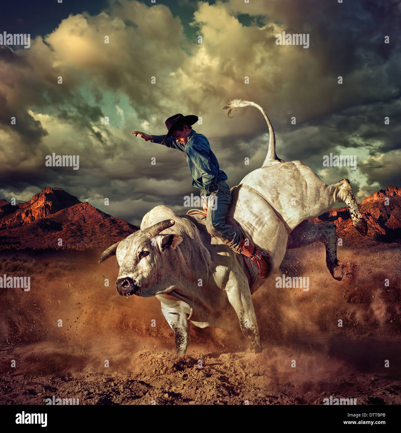 Caucasian cowboy riding bucking bull in desert Stock Photo