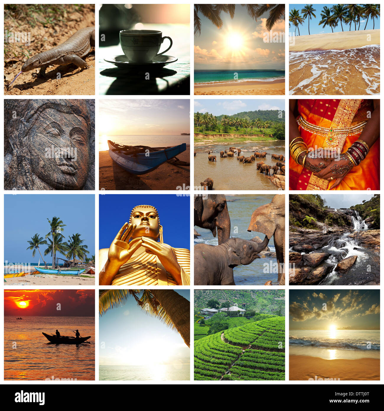 Boat safari sri lanka hi-res stock photography and images - Alamy