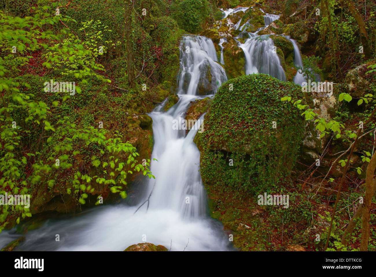 Urederra River, Urbasa Natural Park. Urederra river near its Source ...
