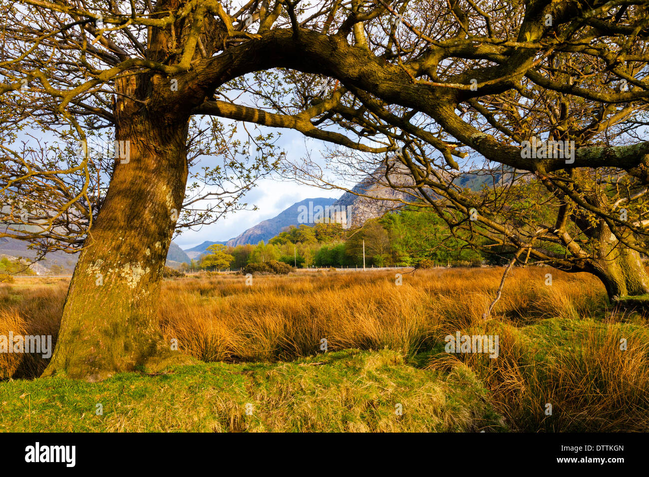 Dolbadarn Castle and Llanberis Pass Snowdonia Gwynedd Wales UK Stock Photo