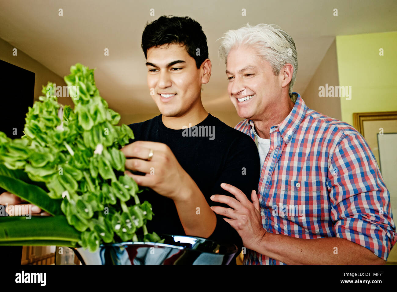 Homosexual couple arranging flowers Stock Photo