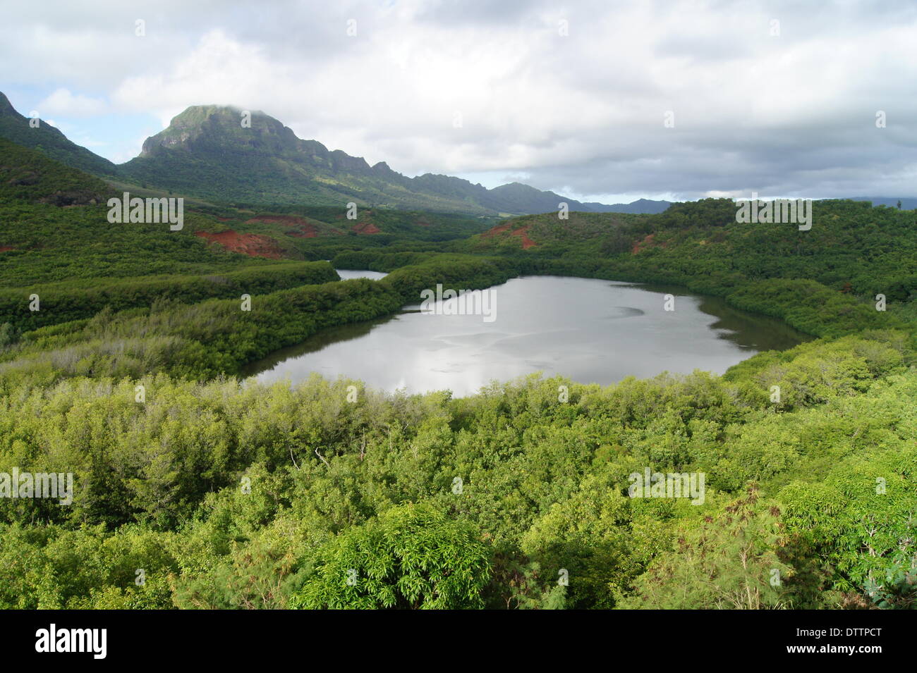 Alekoko fishpond hi-res stock photography and images - Alamy