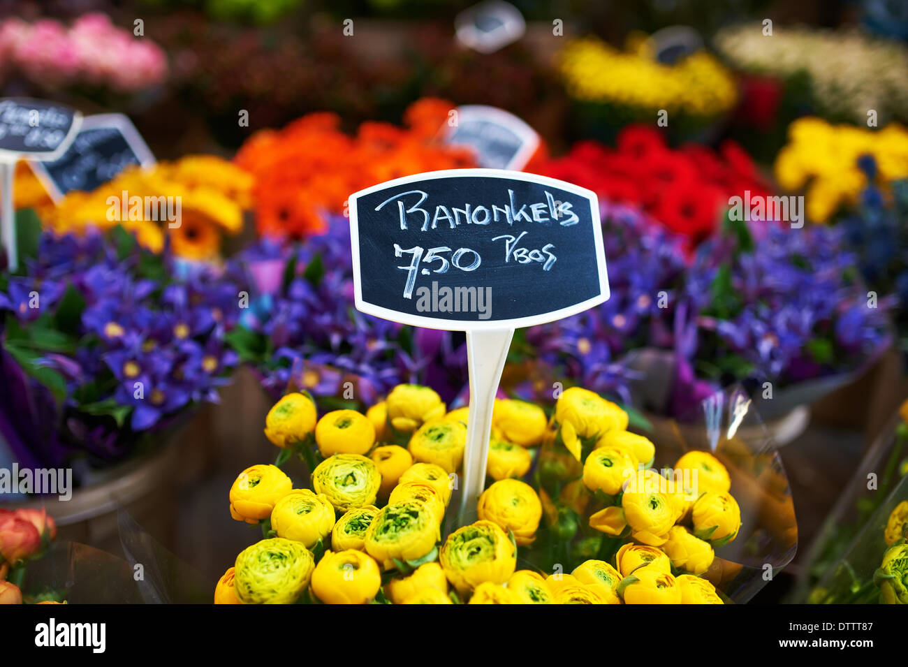 Amsterdam flower market hires stock photography and images Alamy