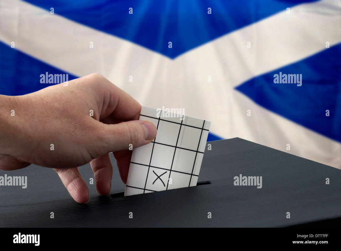 putting a vote in a ballot box voting for an independent Scotland Stock Photo