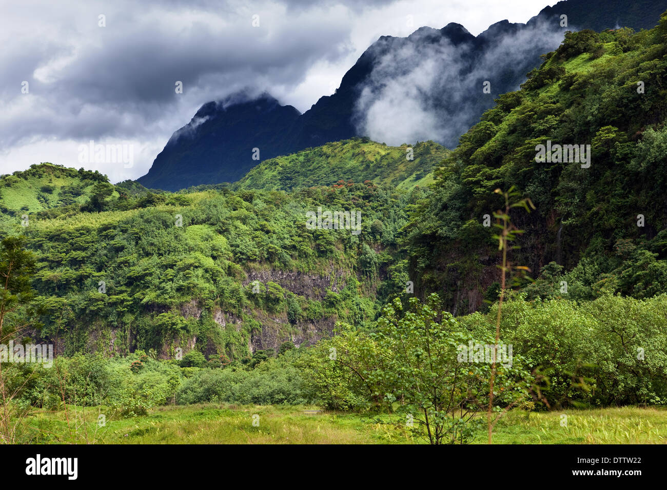 Tahiti, mountains. Tropical nature. Stock Photo