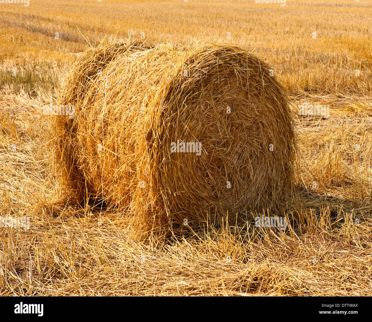 Grain stacks hi-res stock photography and images - Alamy