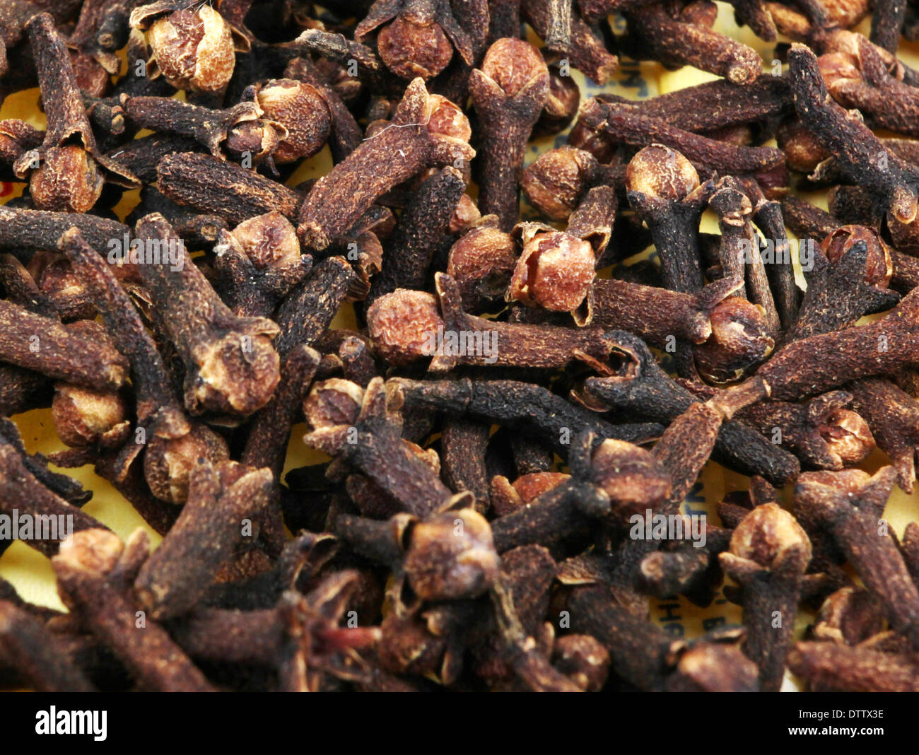Clove Scented High Resolution Stock Photography and Images Alamy