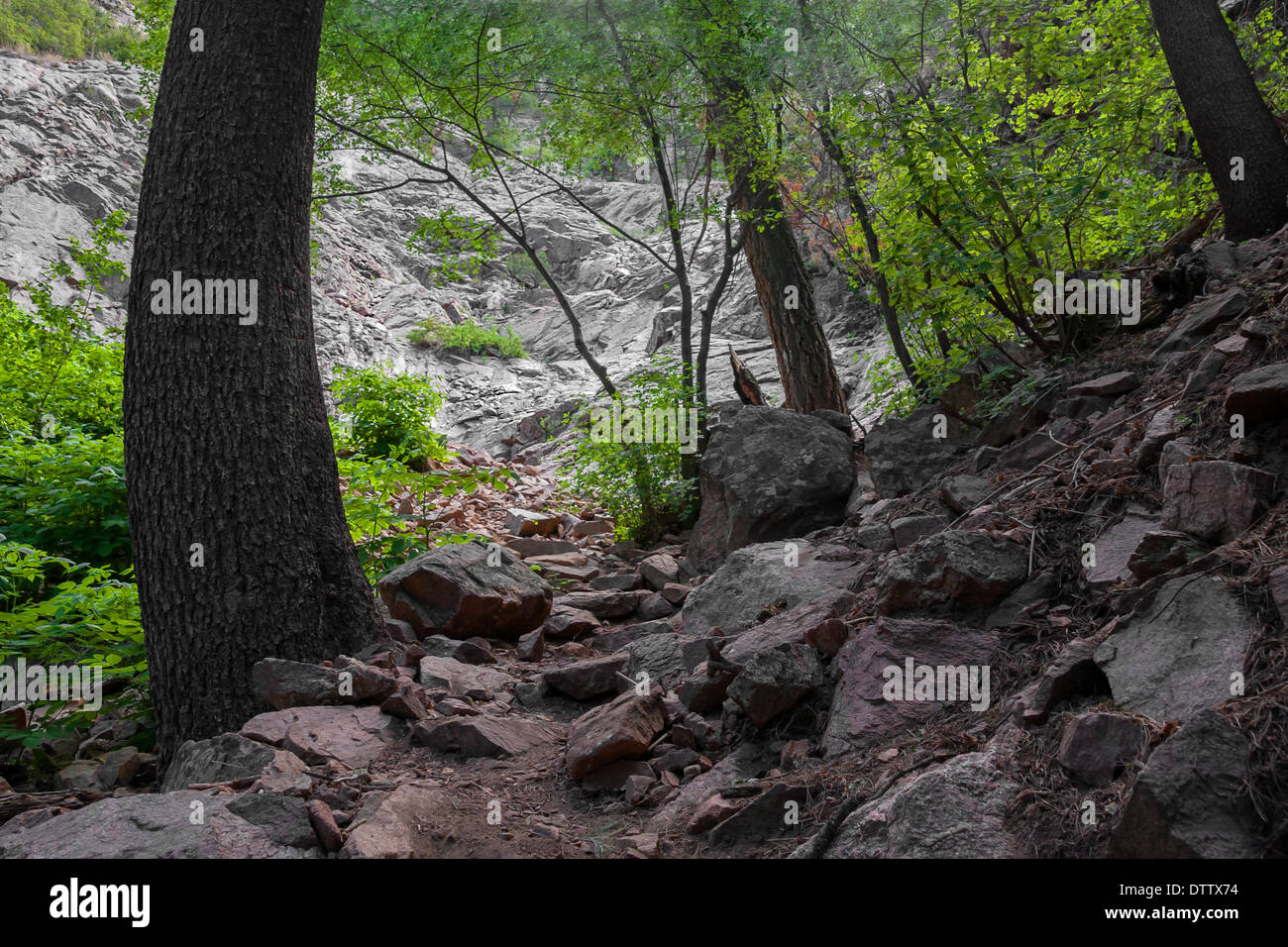 Treasures of New Mexico Stock Photo