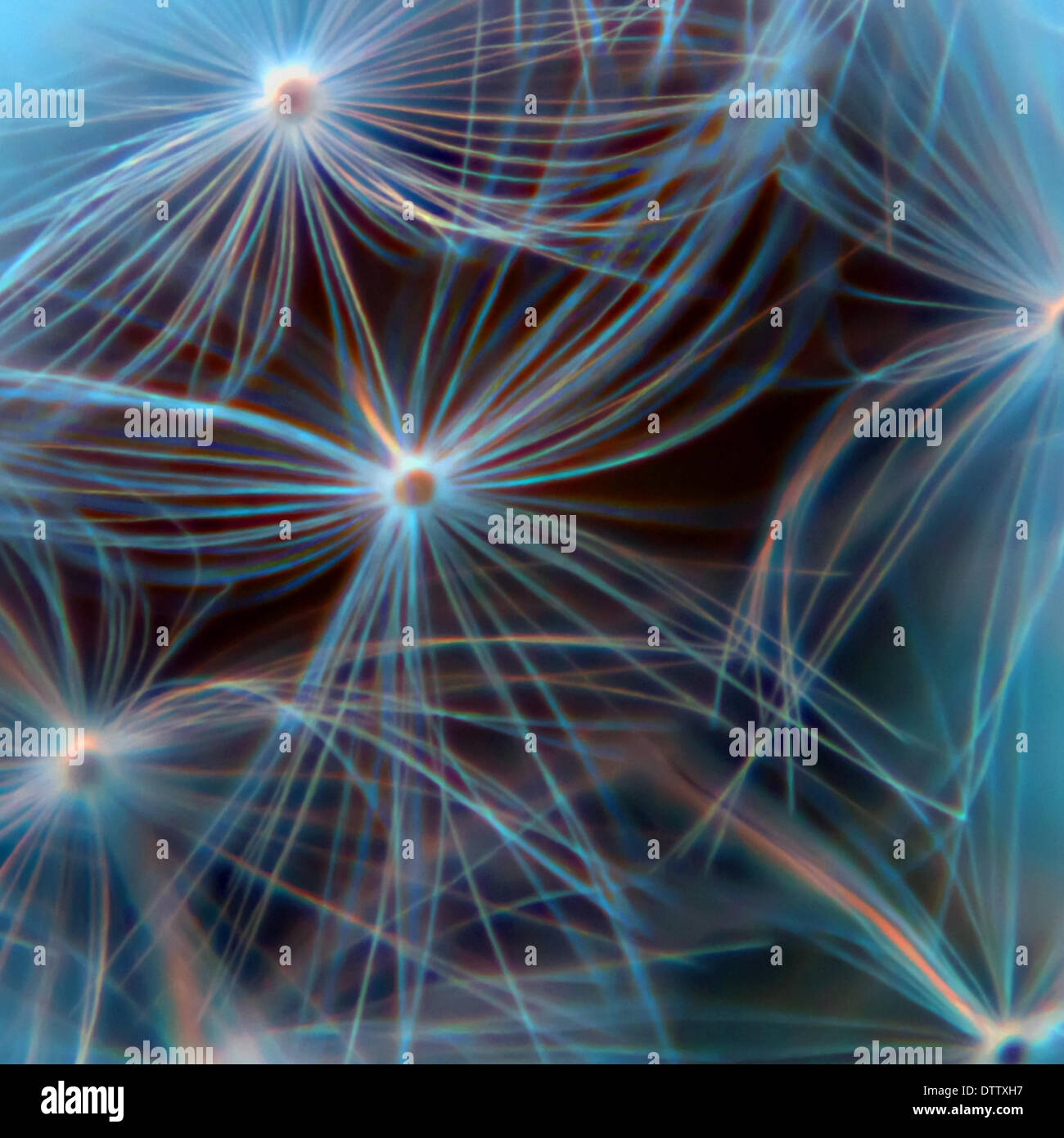 Digital Art of Nature Stock Photo - Alamy