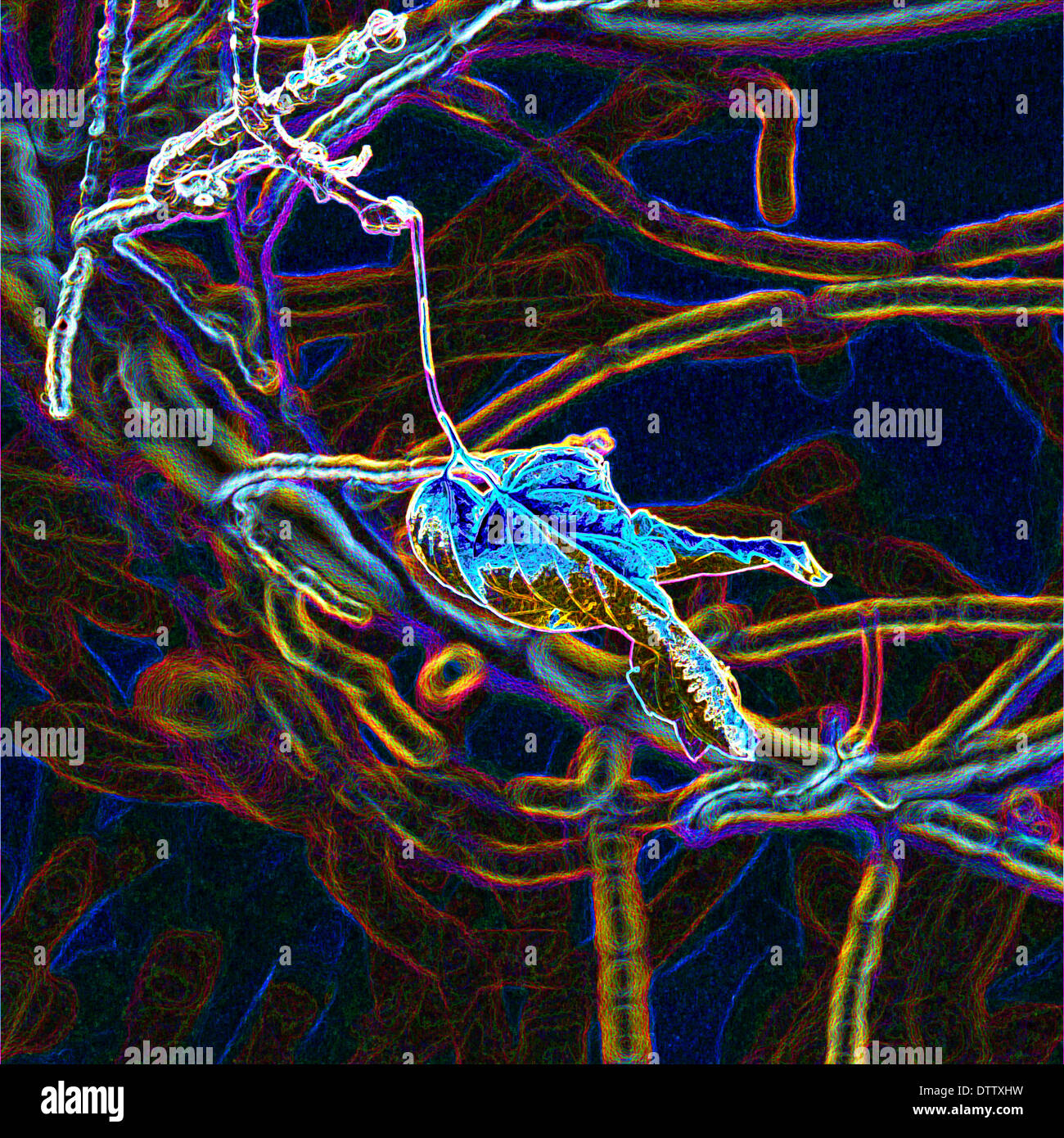 Digital Art of Nature Stock Photo - Alamy
