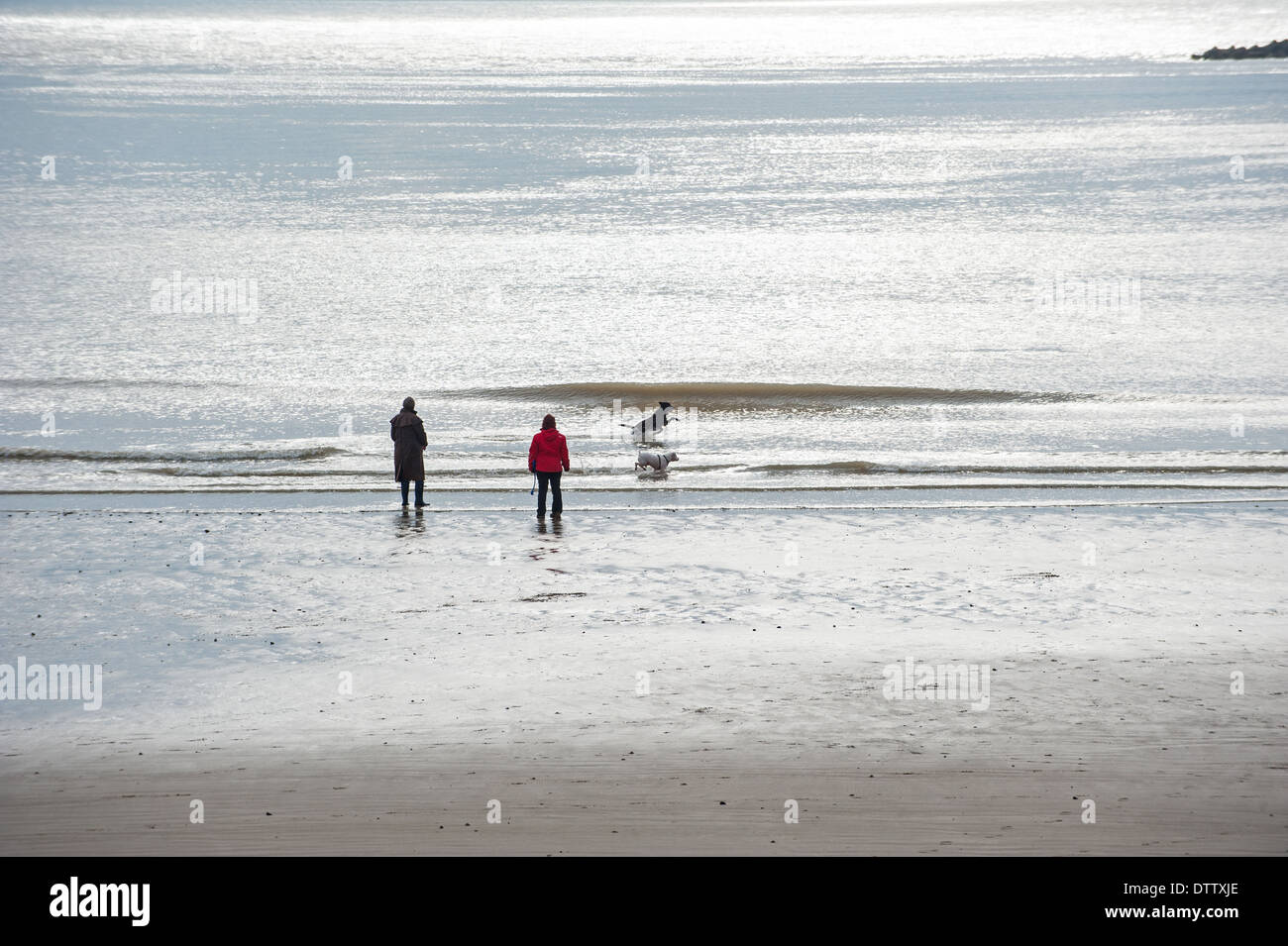 Couple our waking their dog on the beach at Cleethorpes Stock Photo