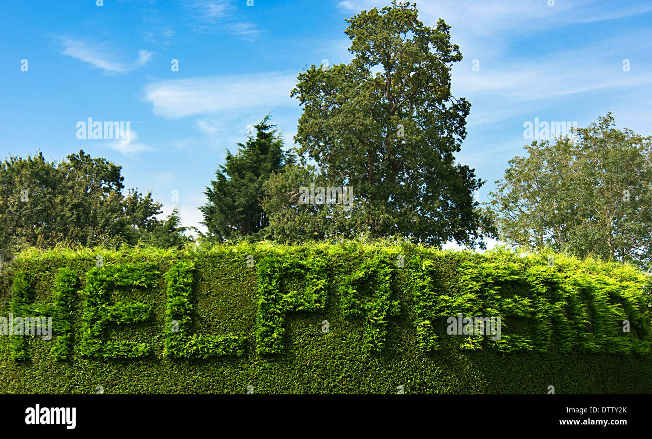 Hedge with 