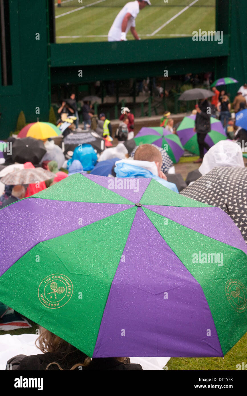 TV screen showing Andy Murray foreground open Wimbledon umbrella Stock