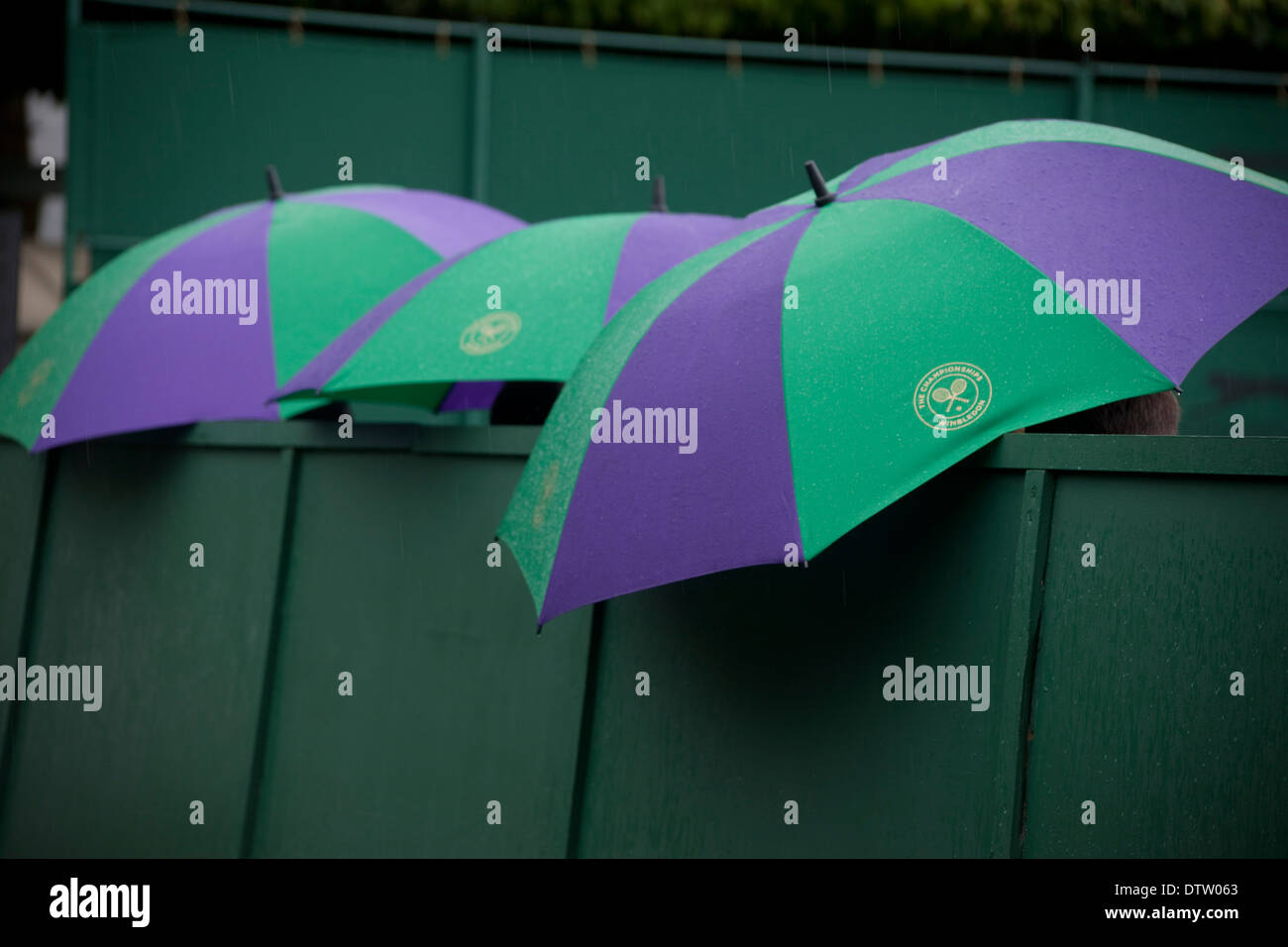 Thee Wimbledon umbrellas open in rain Stock Photo Alamy