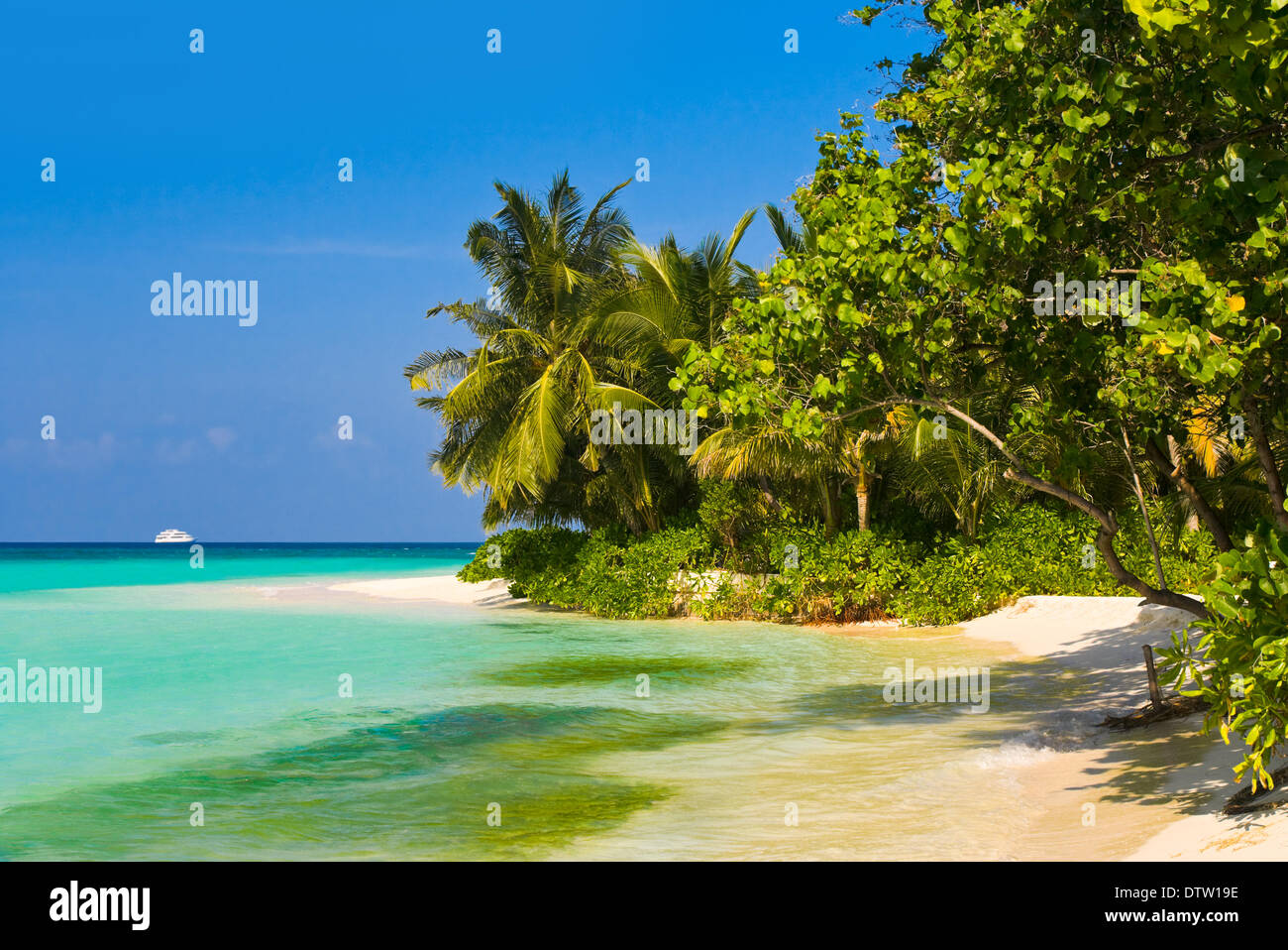Tropical jungle and beach Stock Photo - Alamy