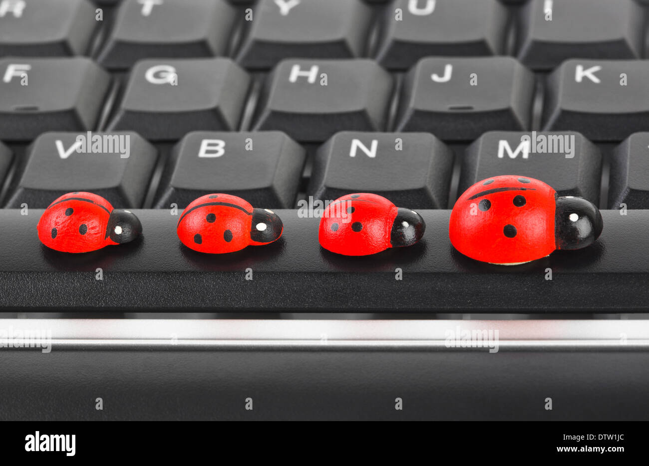 Toy ladybirds on computer keyboard Stock Photo