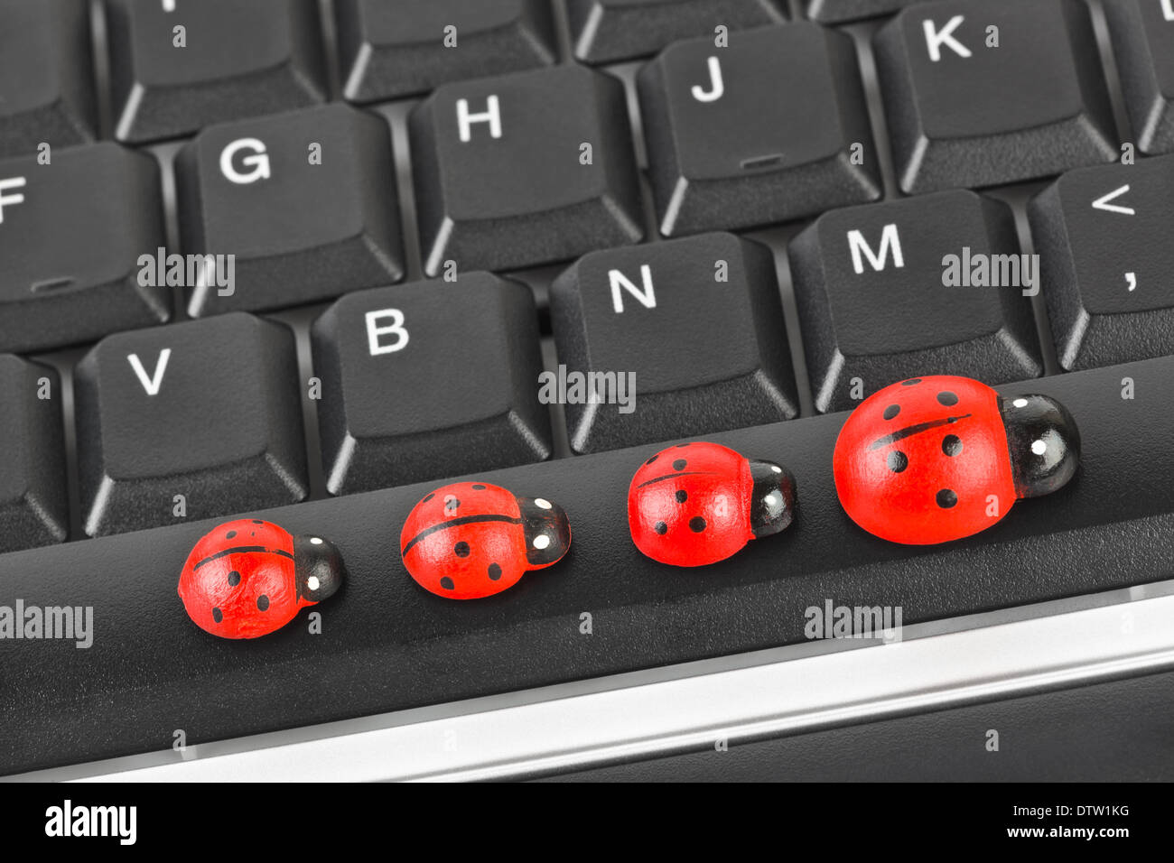 Toy ladybirds on computer keyboard Stock Photo