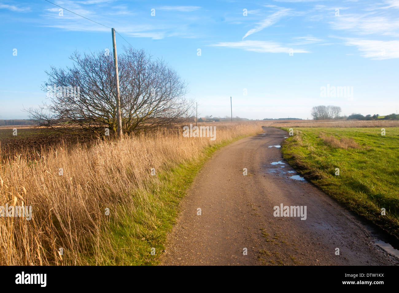 Winding country track road going off into the distance at Boyton, Suffolk, England Stock Photo