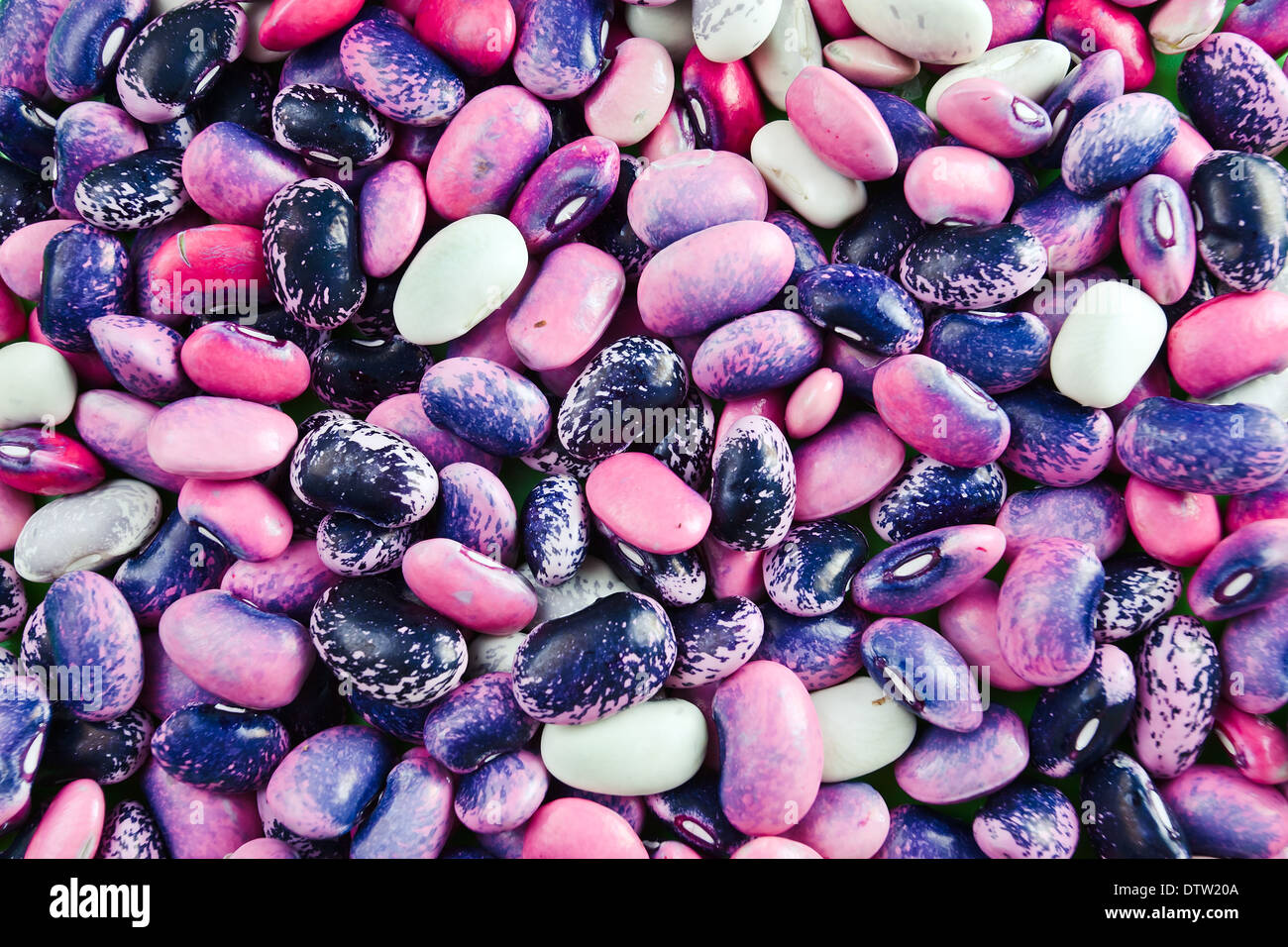 string bean , focus on a center Stock Photo Alamy