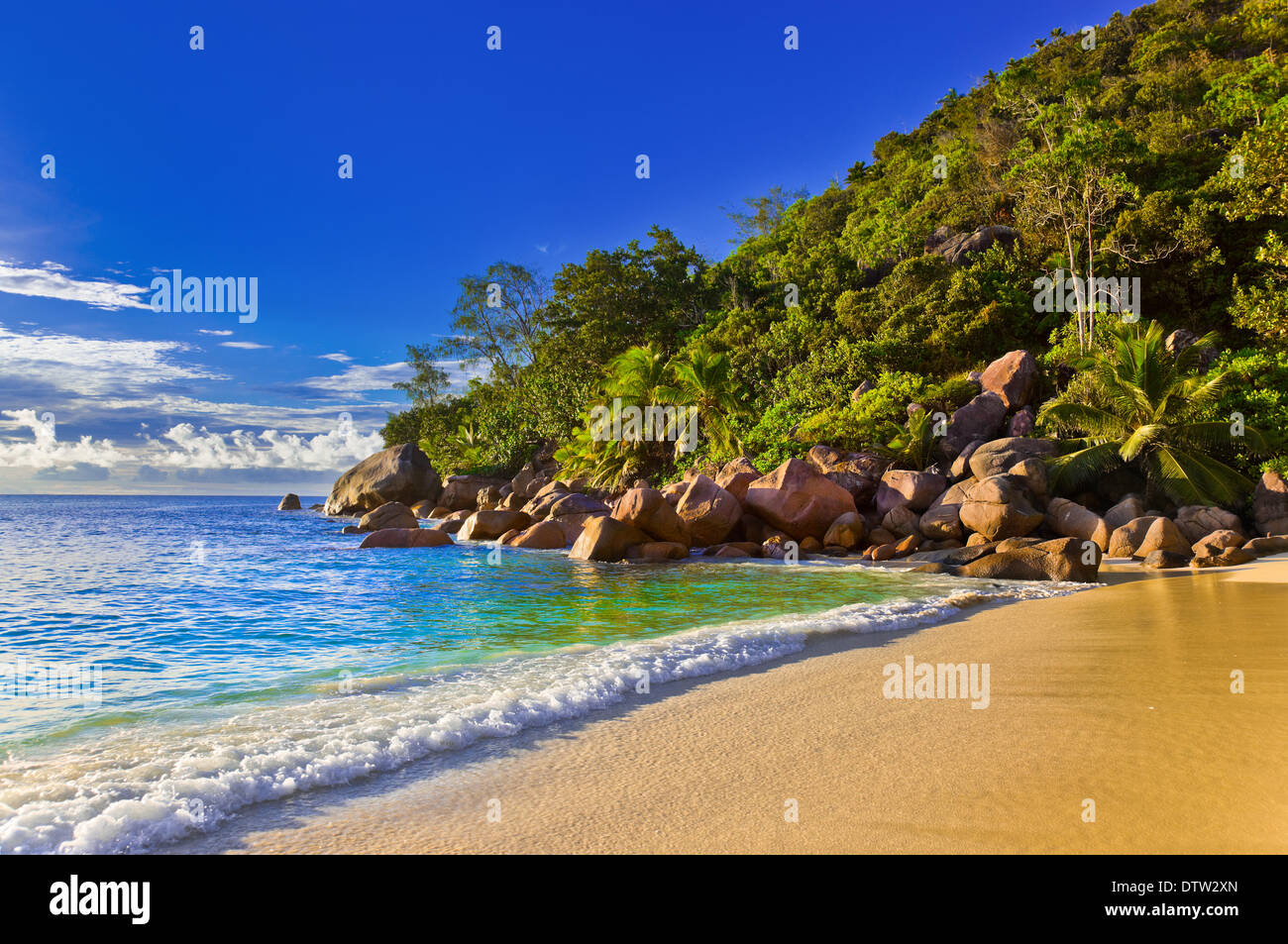 Tropical beach evening hi-res stock photography and images - Alamy