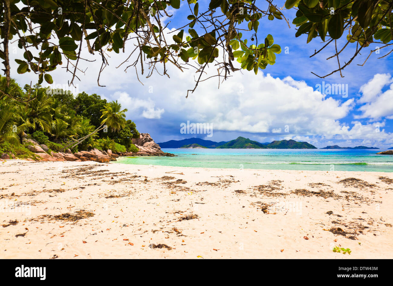 Tropical beach hi-res stock photography and images - Alamy