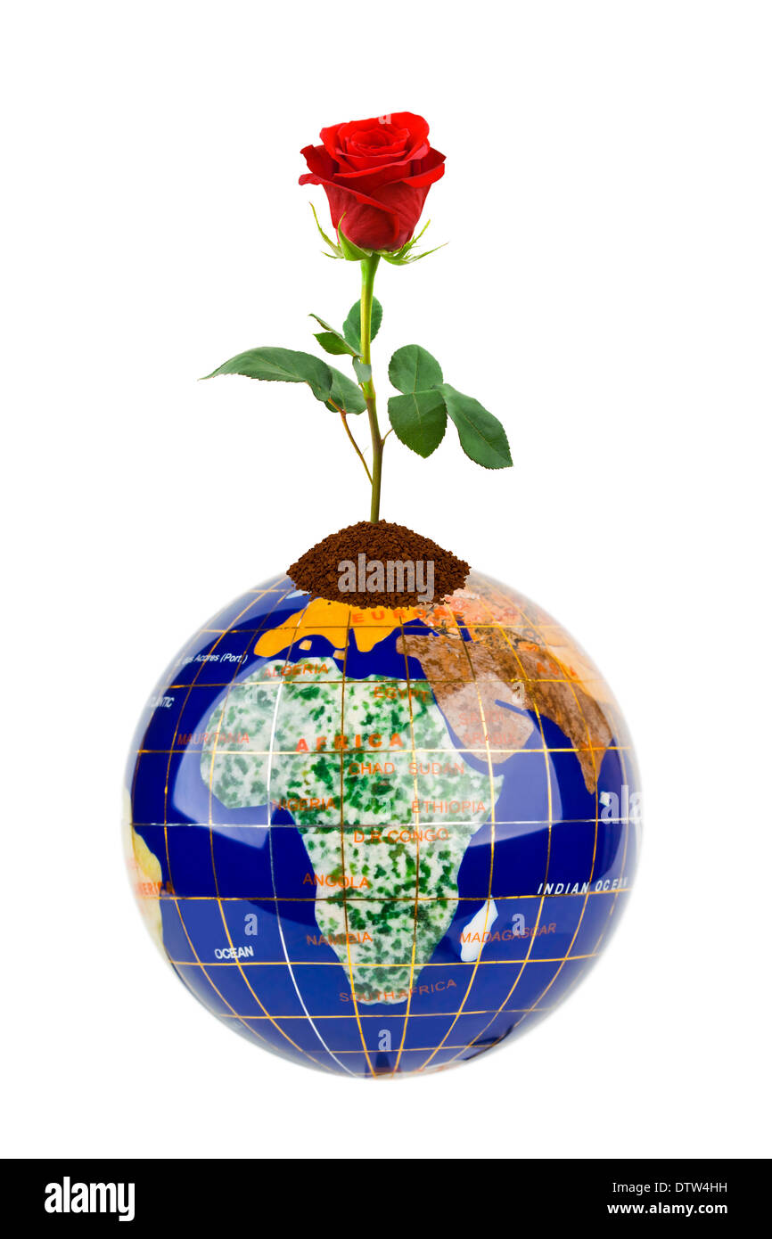 Globe and rose flower Stock Photo Alamy