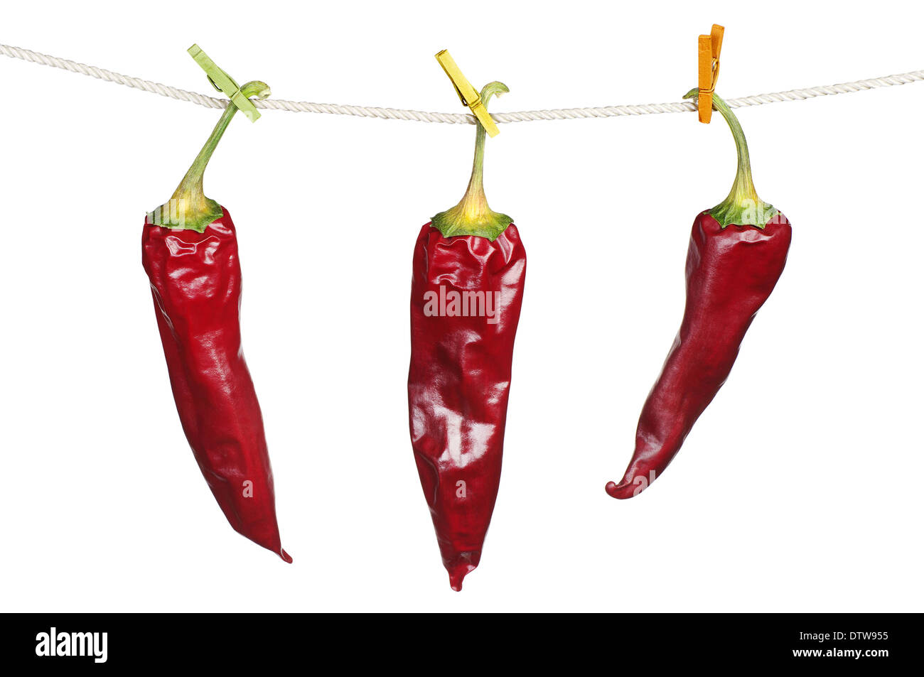Three dry red chili peppers hanging on a rope isolated on white