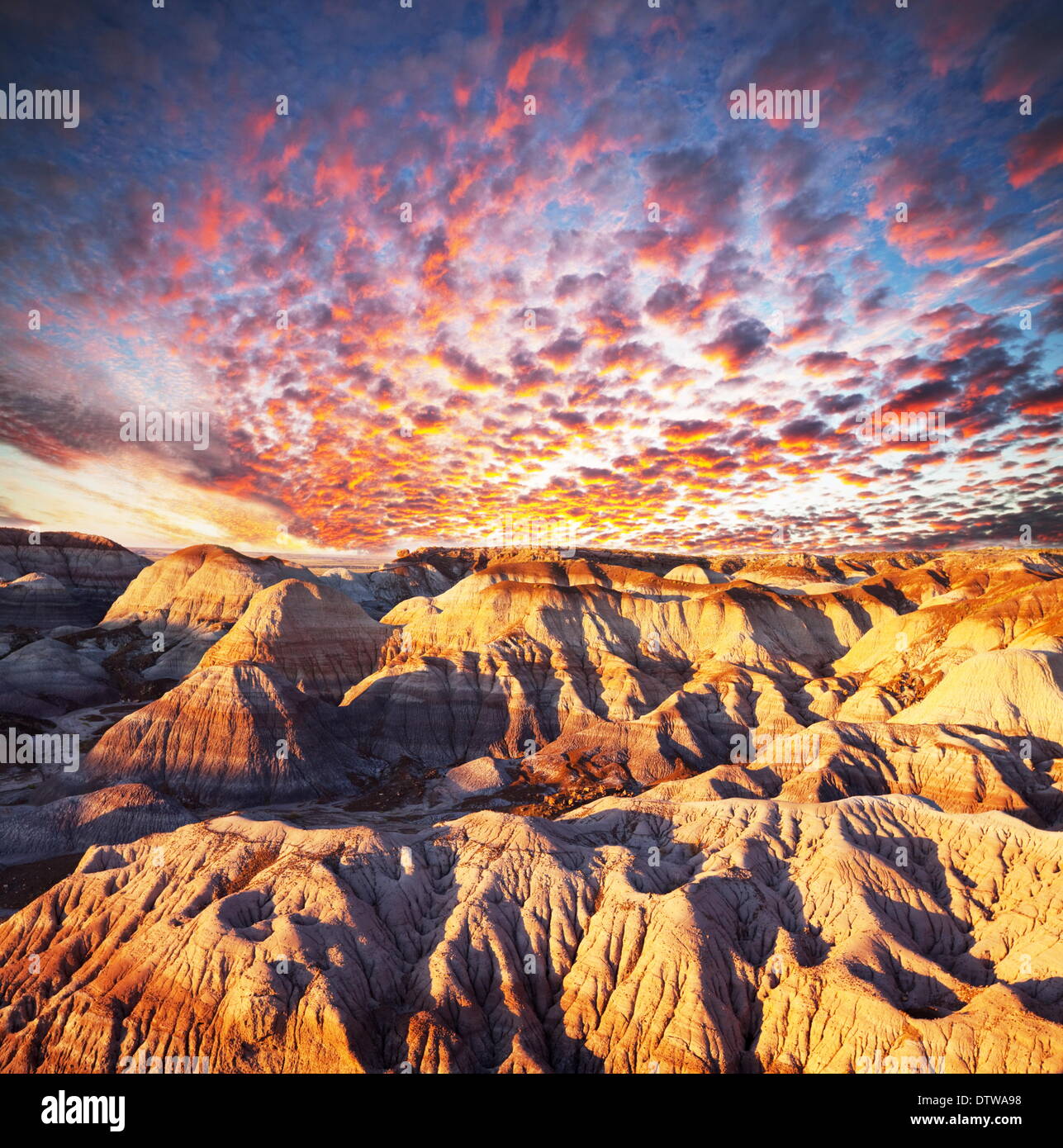 The gobi desert hi-res stock photography and images - Alamy