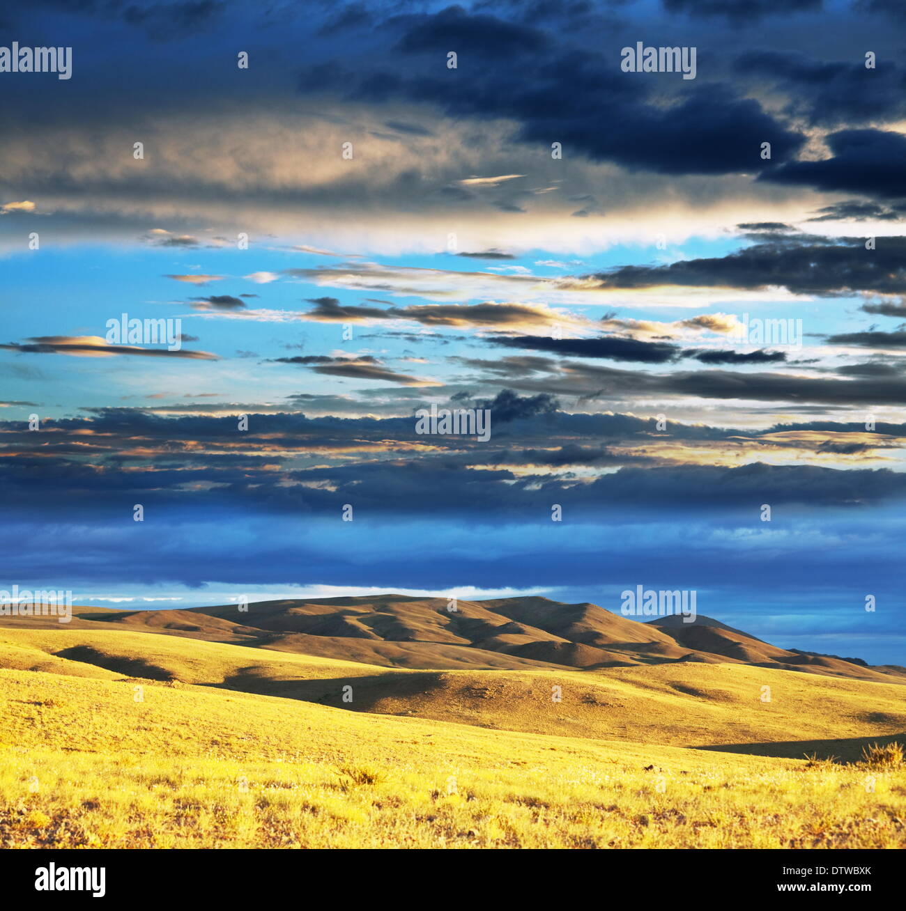 Prairie at dawn Stock Photo Alamy