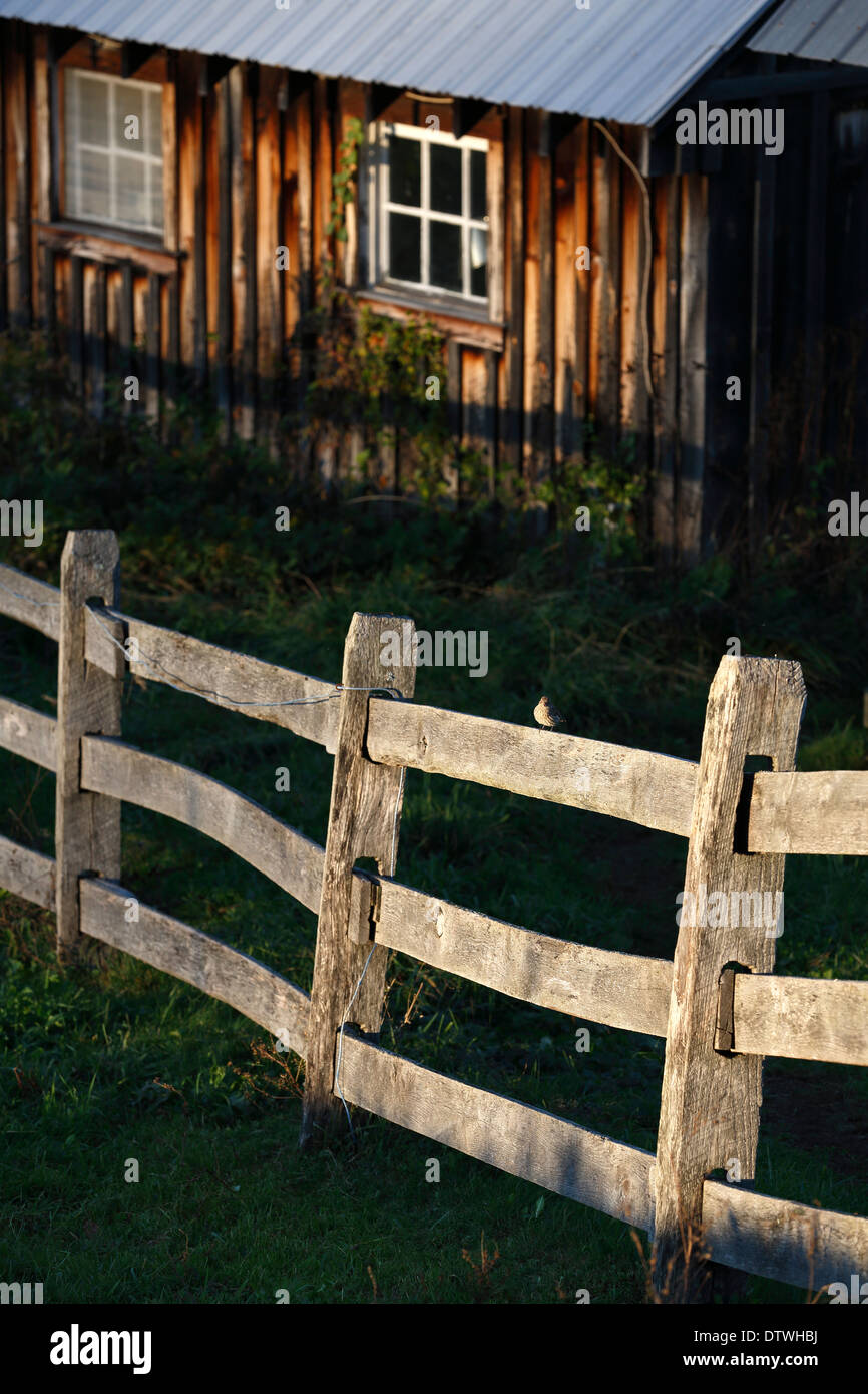 Maple syrup house, wood fence railing Stock Photo