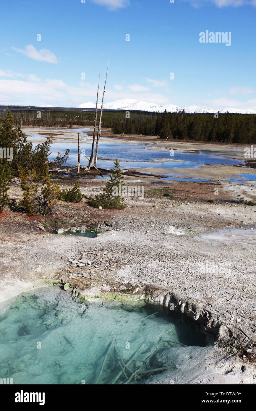 Hot springs in Yellowstone Stock Photo Alamy