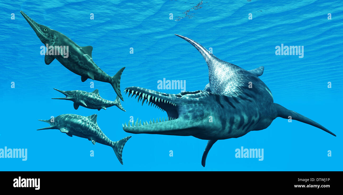 Liopleurodon was a giant marine reptile that hunted Ichthyosaurus dinosaurs in Jurassic Seas. Stock Photo