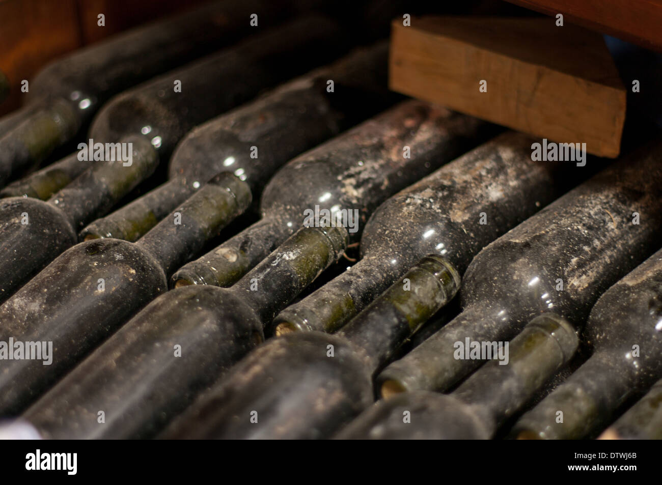 Vintage wine bottles stored in cellar Stock Photo Alamy