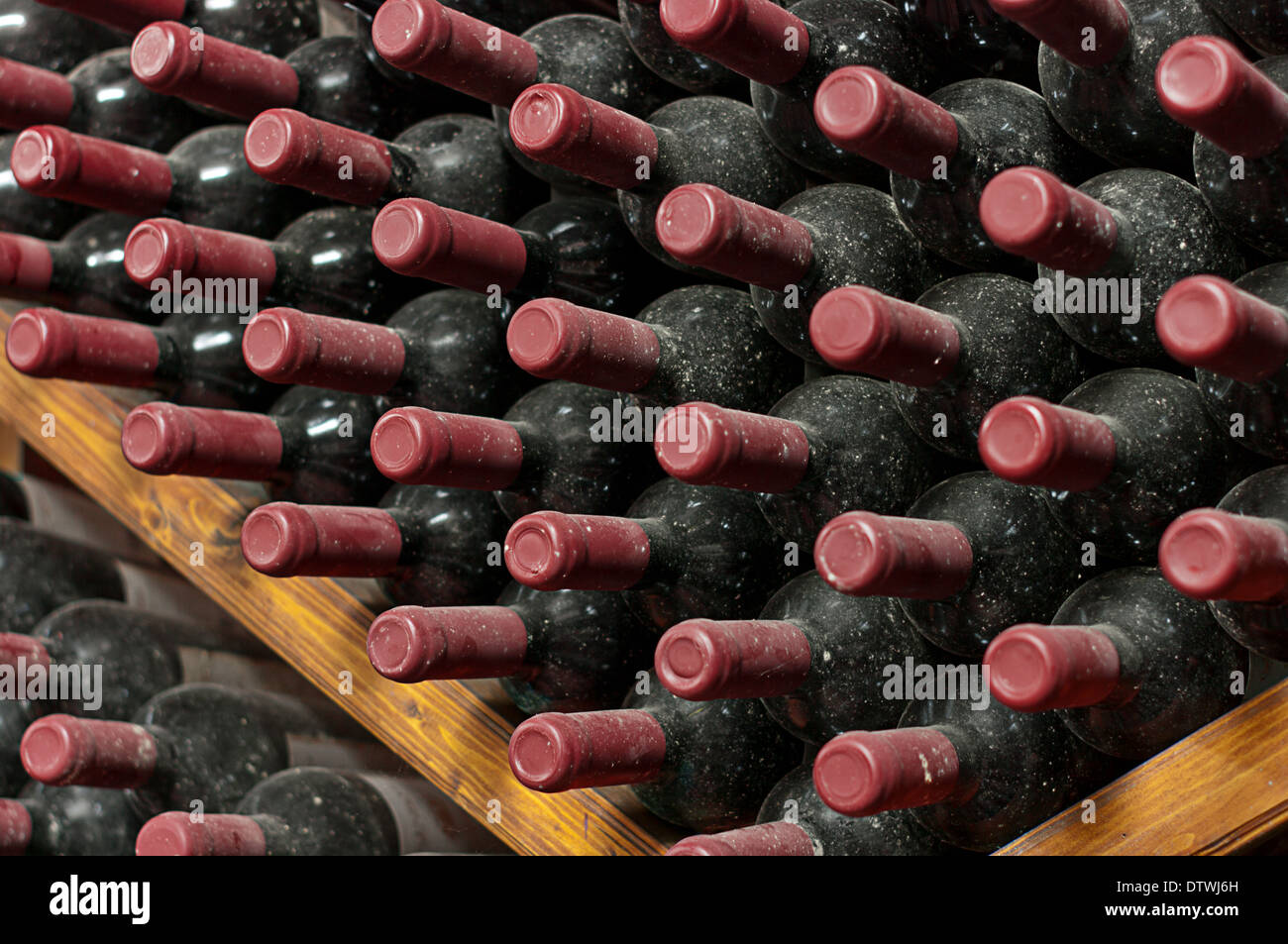Vintage wine bottles stored on shelf in cellar Stock Photo Alamy