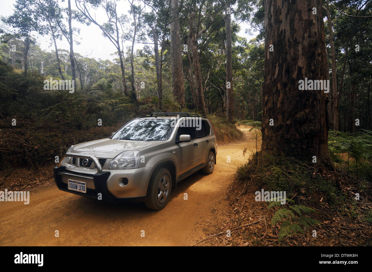 4WD driving on track through forest in West Cape Howe National Park, Western Australia. No PR