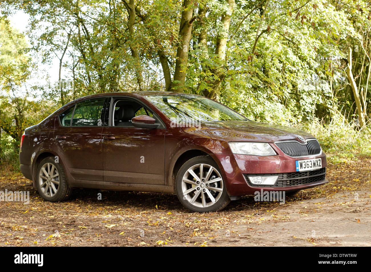Dark Red Skoda Octavia Elegance 2.0TDI mark III, parked in the woods, 24 October 2013 - Number plate changed. Stock Photo