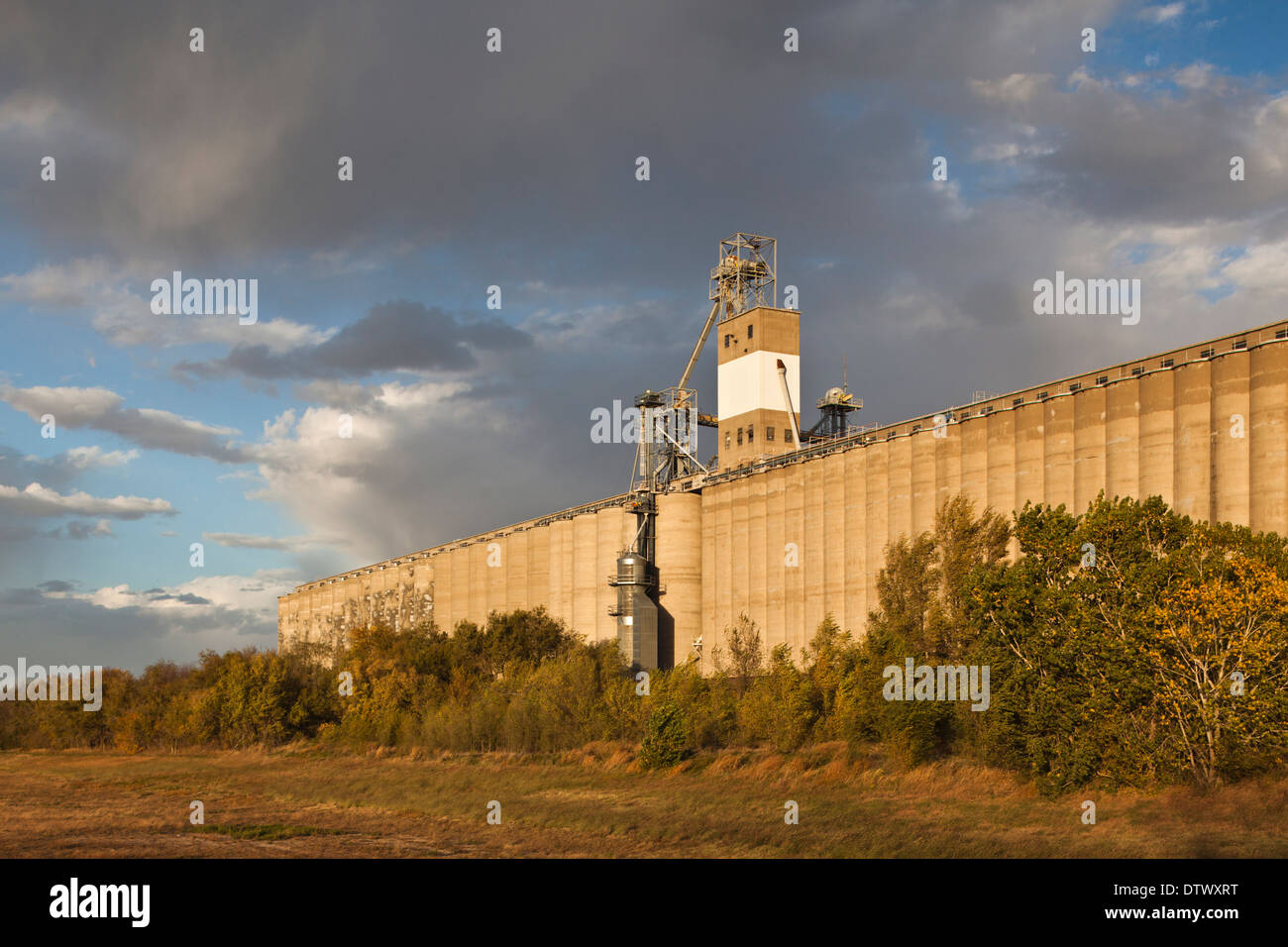 USA, Kansas, Hutchinson, grain elevator at dusk Stock Photo Alamy