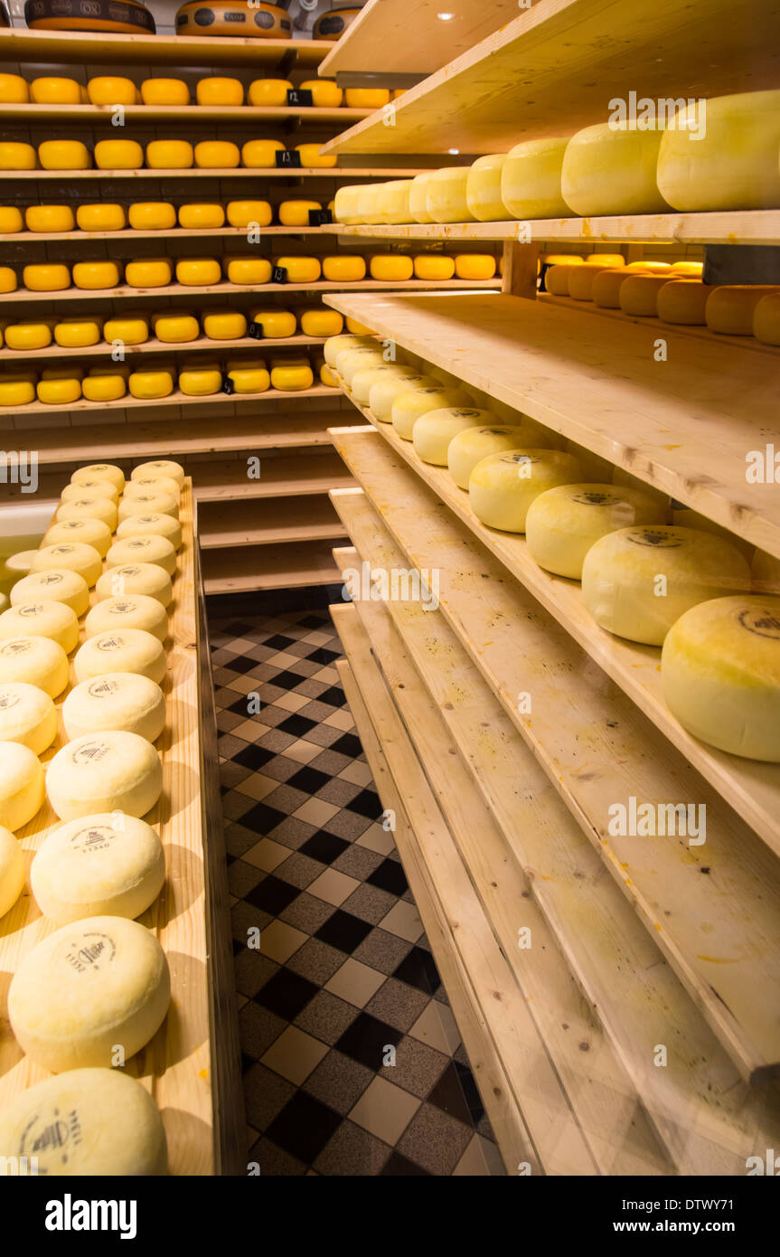 https://c8.alamy.com/comp/DTWY71/cheese-factory-at-volendam-netherlands-DTWY71.jpg