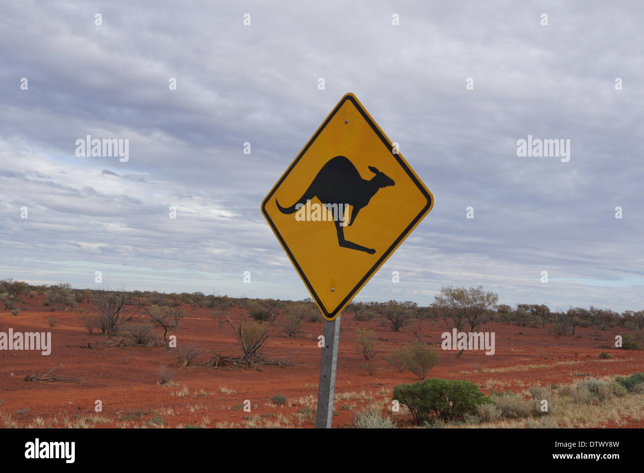 beware of kangaroos Stock Photo
