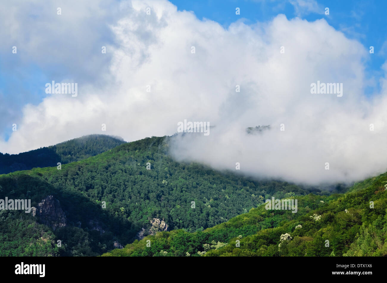 Carpathian Mountains Stock Photo
