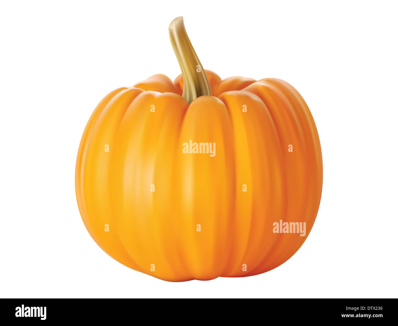 Isolated close - up of a realistic pumpkin Stock Photo