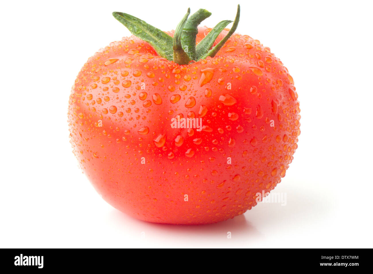 tomato Stock Photo