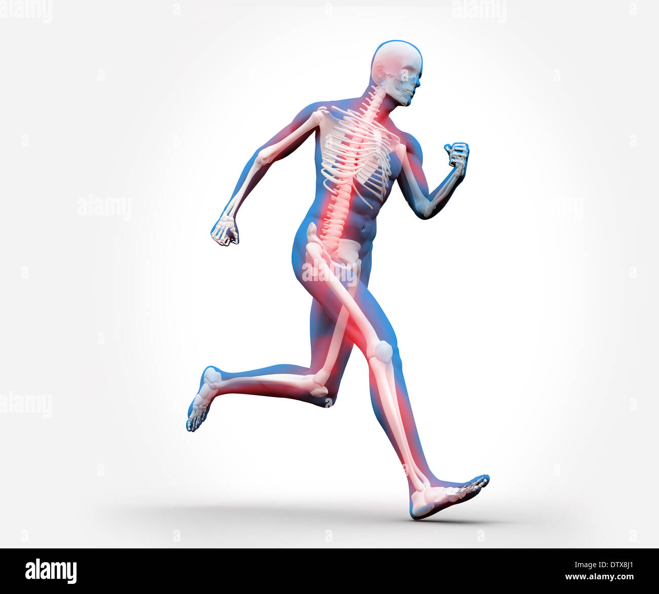 Running skeleton hi-res stock photography and images - Alamy